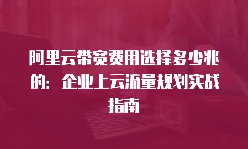 阿里云带宽费用选择多少兆的：企业上云流量规划实战指南