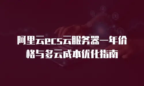 阿里云ecs云服务器一年价格与多云成本优化指南