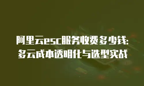 阿里云esc服务收费多少钱：多云成本透明化与选型实战