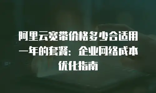 阿里云宽带价格多少合适用一年的套餐：企业网络成本优化指南