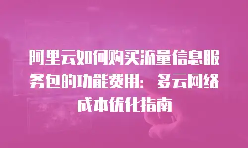阿里云如何购买流量信息服务包的功能费用：多云网络成本优化指南