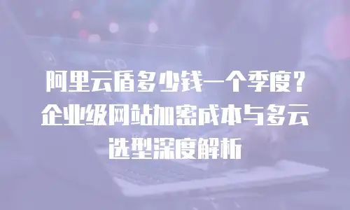 阿里云盾多少钱一个季度？企业级网站加密成本与多云选型深度解析