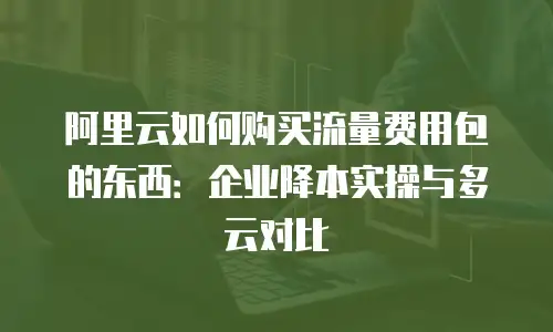 阿里云如何购买流量费用包的东西：企业降本实操与多云对比