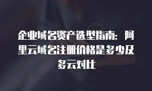 企业域名资产选型指南：阿里云域名注册价格是多少及多云对比