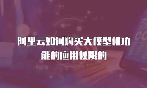 阿里云如何购买大模型机功能的应用权限的