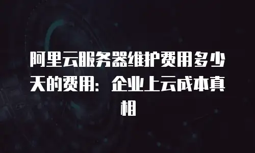 阿里云服务器维护费用多少天的费用：企业上云成本真相