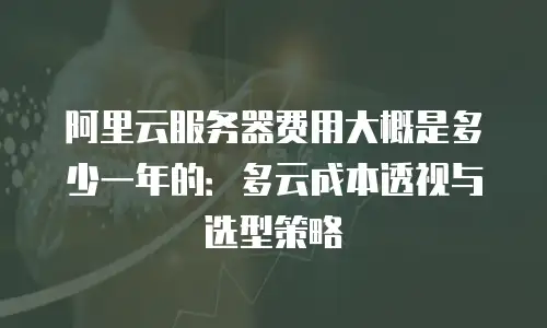阿里云服务器费用大概是多少一年的：多云成本透视与选型策略