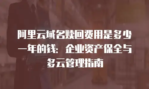 阿里云域名赎回费用是多少一年的钱：企业资产保全与多云管理指南