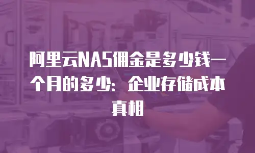 阿里云NAS佣金是多少钱一个月的多少：企业存储成本真相
