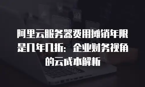 阿里云服务器费用摊销年限是几年几折：企业财务视角的云成本解析
