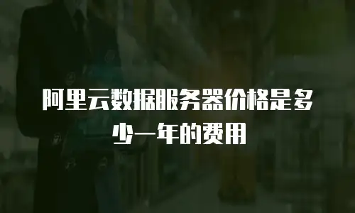阿里云数据服务器价格是多少一年的费用