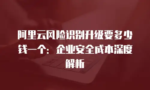 阿里云风险识别升级要多少钱一个：企业安全成本深度解析