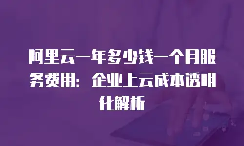 阿里云一年多少钱一个月服务费用：企业上云成本透明化解析