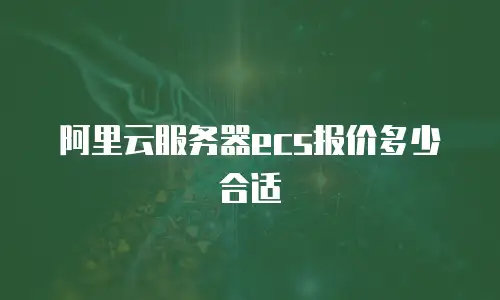 阿里云服务器ecs报价多少合适