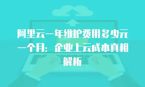 阿里云一年维护费用多少元一个月：企业上云成本真相解析