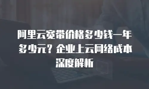 阿里云宽带价格多少钱一年多少元？企业上云网络成本深度解析