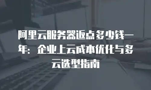 阿里云服务器返点多少钱一年：企业上云成本优化与多云选型指南