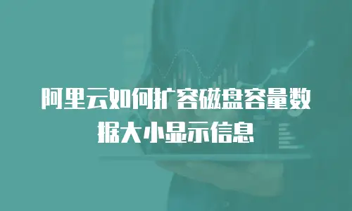 阿里云如何扩容磁盘容量数据大小显示信息