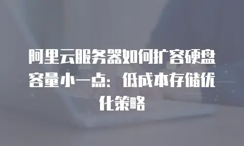 阿里云服务器如何扩容硬盘容量小一点：低成本存储优化策略