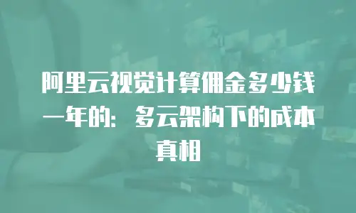 阿里云视觉计算佣金多少钱一年的：多云架构下的成本真相
