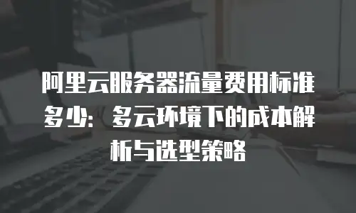 阿里云服务器流量费用标准多少：多云环境下的成本解析与选型策略