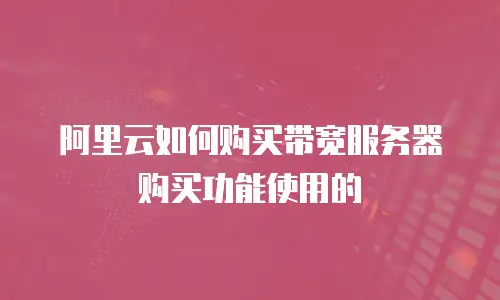 阿里云如何购买带宽服务器购买功能使用的