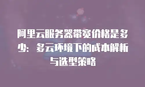 阿里云服务器带宽价格是多少：多云环境下的成本解析与选型策略