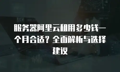 服务器阿里云租用多少钱一个月合适？全面解析与选择建议