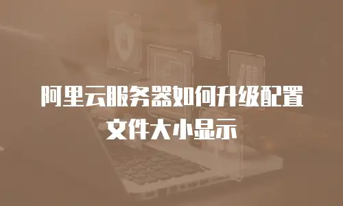 阿里云服务器如何升级配置文件大小显示