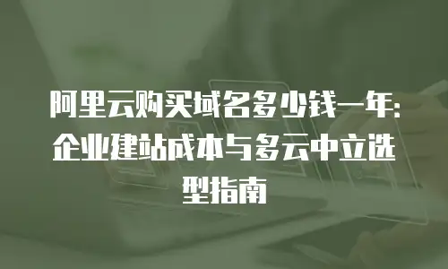 阿里云购买域名多少钱一年：企业建站成本与多云中立选型指南