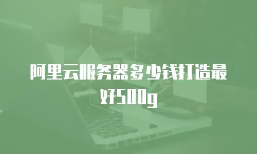 阿里云服务器多少钱打造最好500g