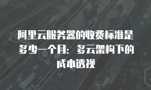 阿里云服务器的收费标准是多少一个月：多云架构下的成本透视