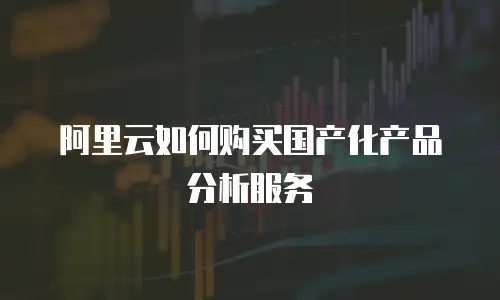 阿里云如何购买国产化产品分析服务
