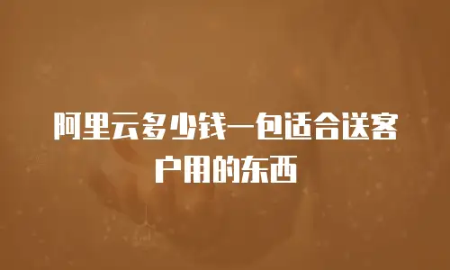 阿里云多少钱一包适合送客户用的东西