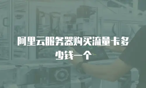 阿里云服务器购买流量卡多少钱一个