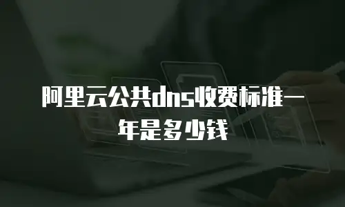 阿里云公共dns收费标准一年是多少钱