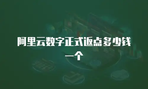 阿里云数字正式返点多少钱一个