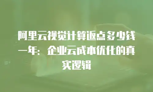 阿里云视觉计算返点多少钱一年：企业云成本优化的真实逻辑