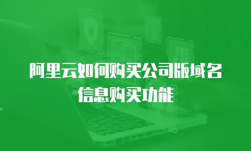 阿里云如何购买公司版域名信息购买功能