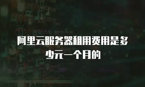 阿里云服务器租用费用是多少元一个月的
