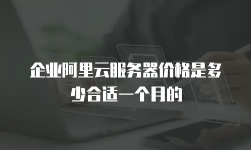 企业阿里云服务器价格是多少合适一个月的