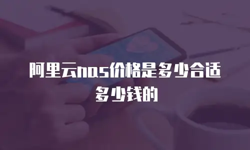 阿里云nas价格是多少合适多少钱的
