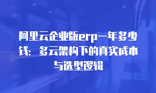 阿里云企业版erp一年多少钱：多云架构下的真实成本与选型逻辑