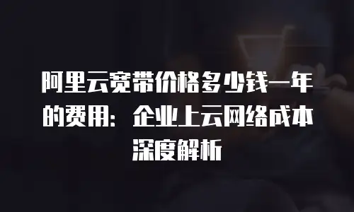 阿里云宽带价格多少钱一年的费用：企业上云网络成本深度解析