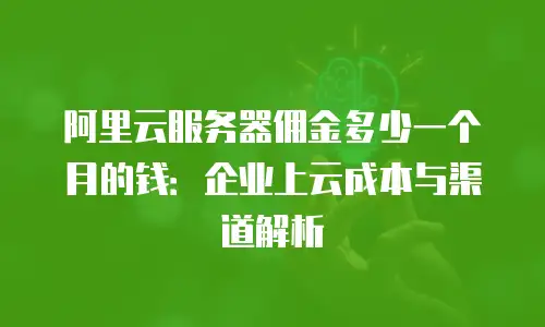 阿里云服务器佣金多少一个月的钱：企业上云成本与渠道解析