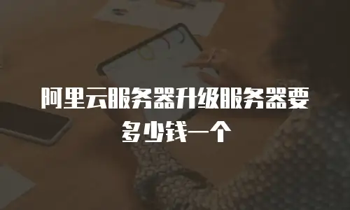 阿里云服务器升级服务器要多少钱一个