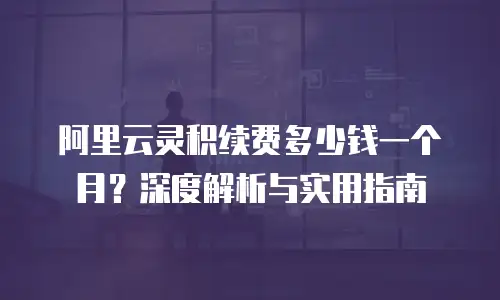 阿里云灵积续费多少钱一个月？深度解析与实用指南