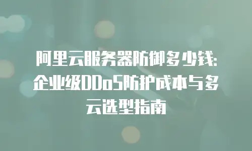 阿里云服务器防御多少钱：企业级DDoS防护成本与多云选型指南