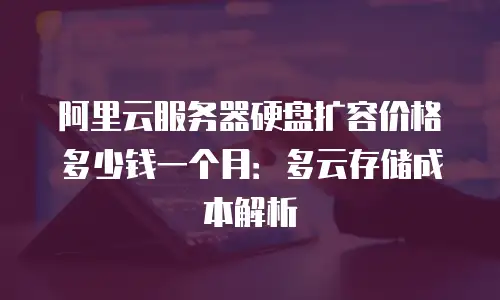 阿里云服务器硬盘扩容价格多少钱一个月：多云存储成本解析