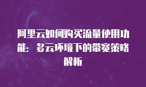 阿里云如何购买流量使用功能：多云环境下的带宽策略解析